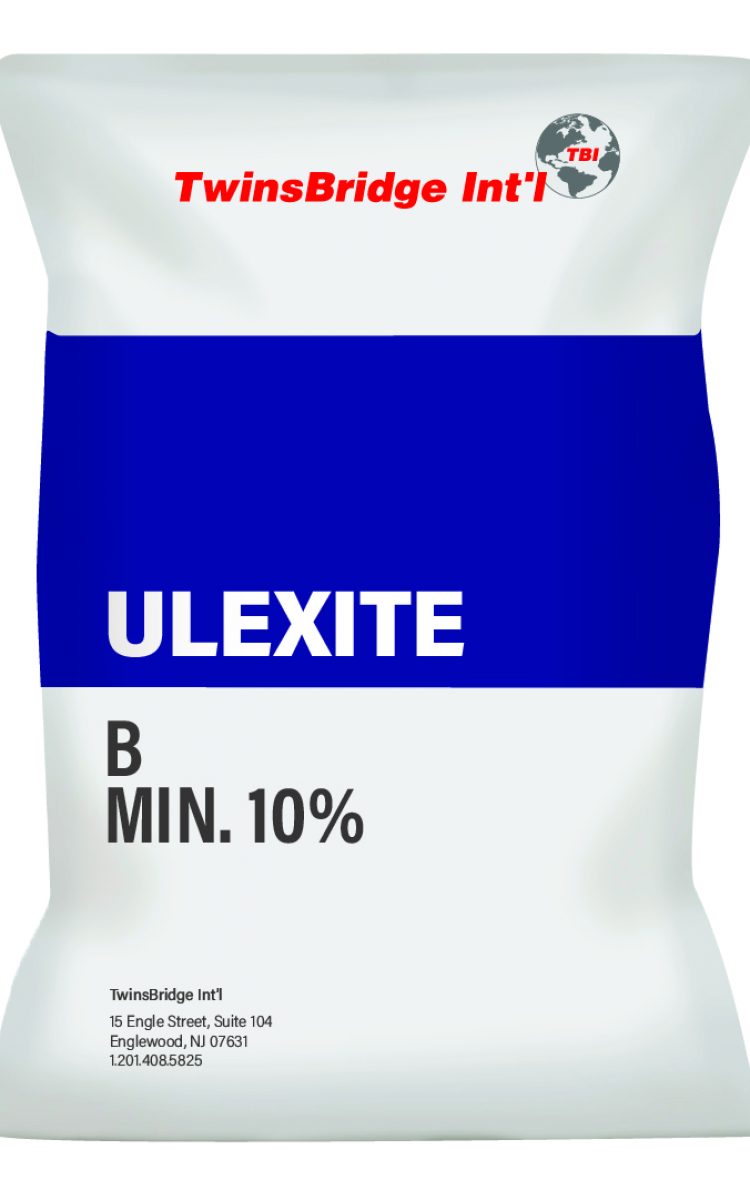 ULEXITE10_3.1